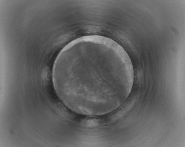 X0000112820228200910021208