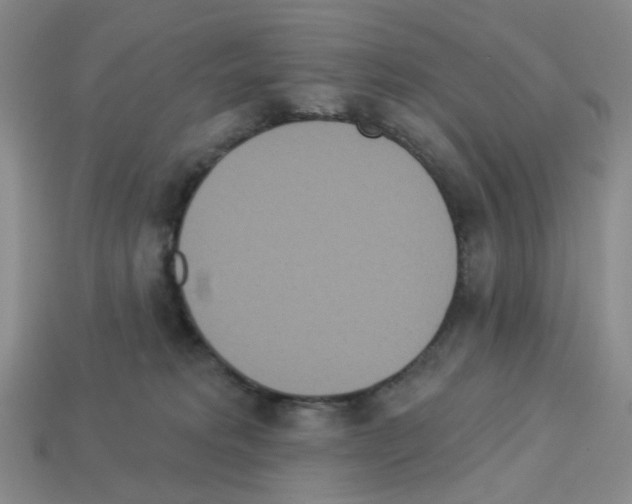 X0000112820229200910021208