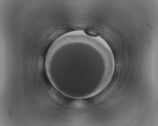 X0000112820231200910021208