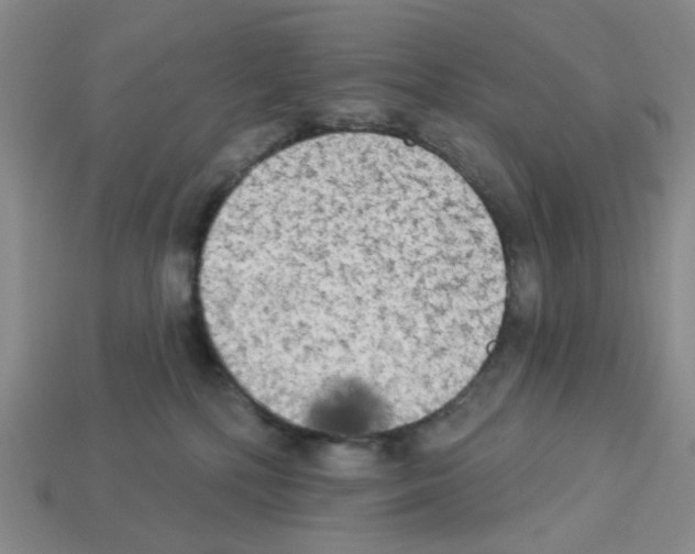 X0000112820232200910021208