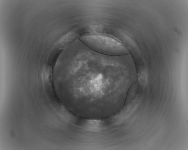 X0000112820233200910021208