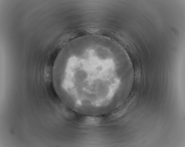 X0000112820234200910021208