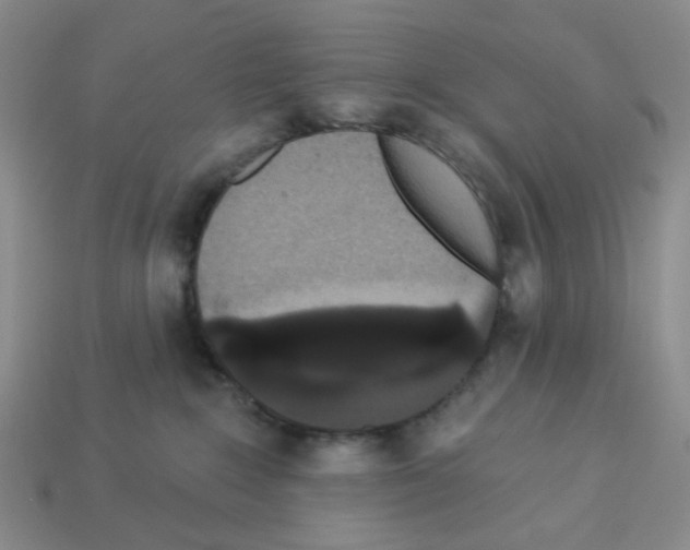 X0000112820235200910021208