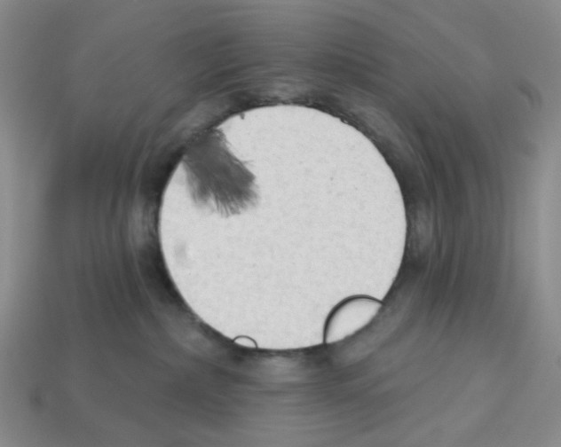 X0000112820236200910021208