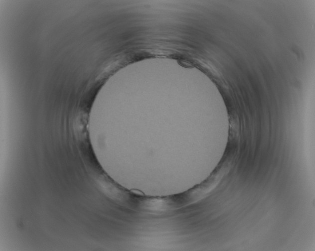 X0000112820237200910021208