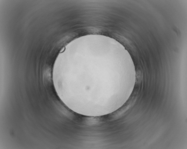 X0000112820238200910021208