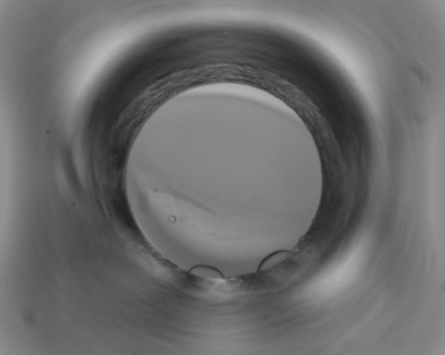 X0000112820239200910021208