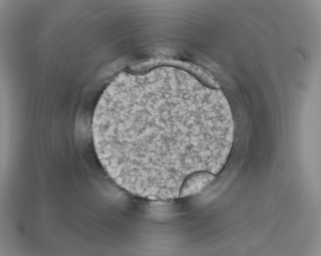 X0000112820240200910021208