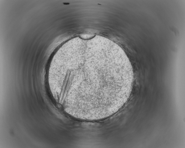 X0000112820242200910021208