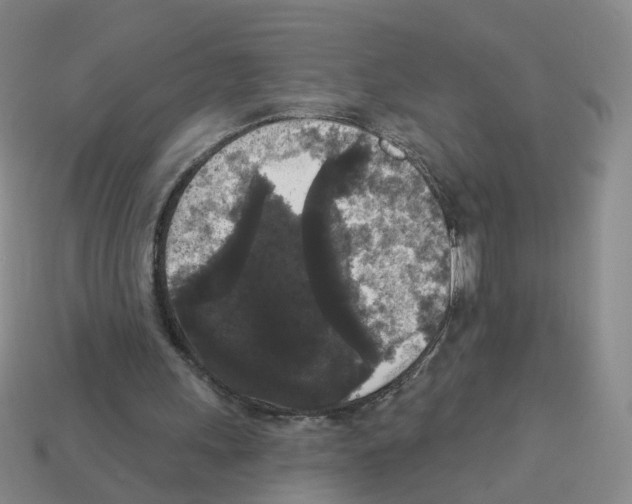 X0000112820243200910021208