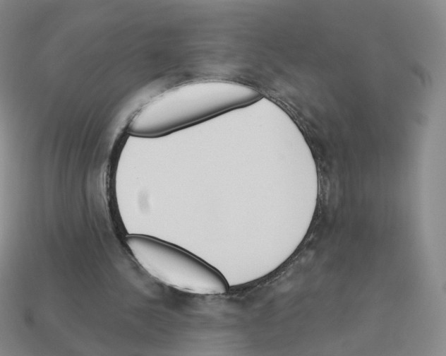 X0000112820244200910021208