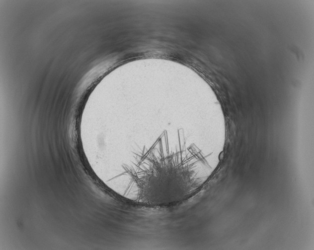 X0000112820245200910021208