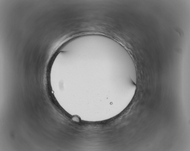 X0000112820248200910021208