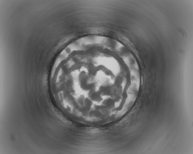 X0000112820249200910021208