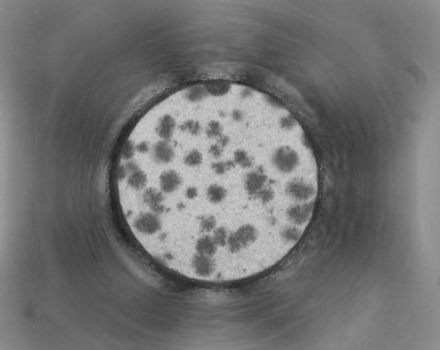 X0000112820250200910021208