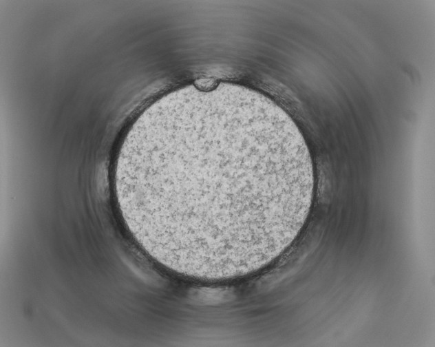 X0000112820251200910021208