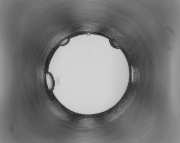 X0000112820252200910021208