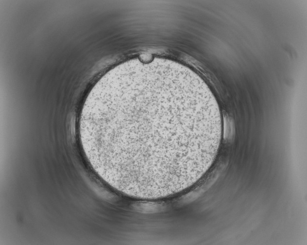 X0000112820253200910021208