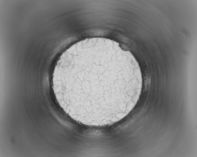 X0000112820254200910021208