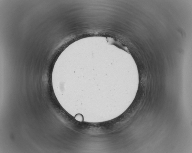 X0000112820256200910021208