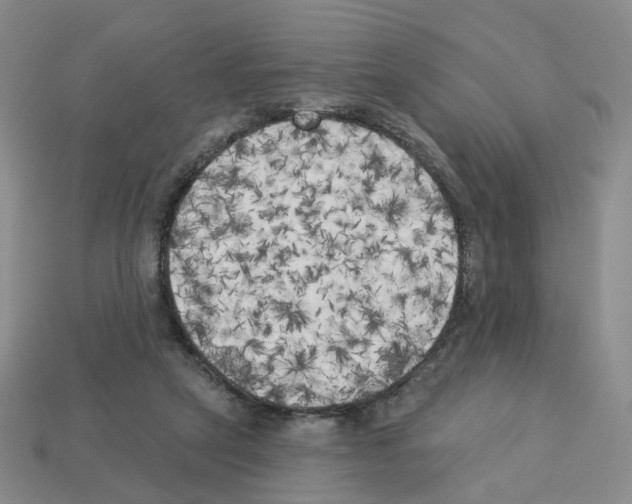 X0000112820257200910021208