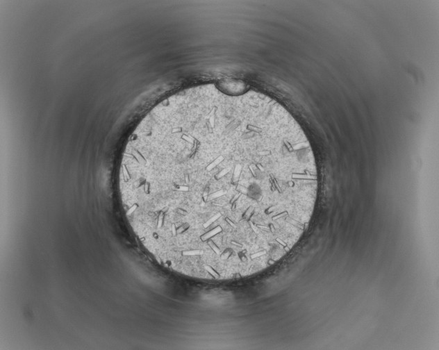 X0000112820258200910021208