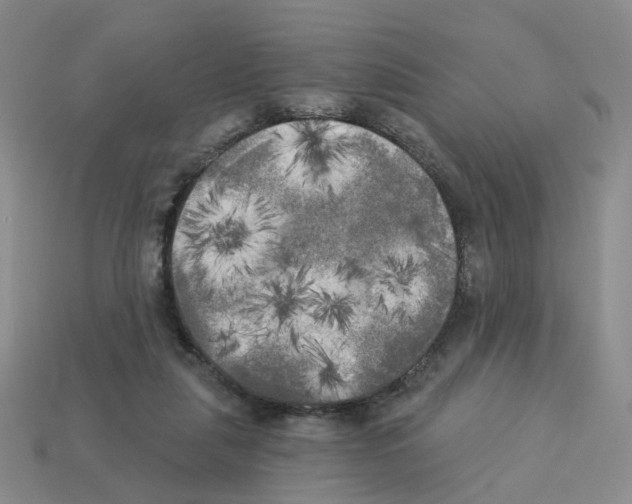 X0000112820259200910021208