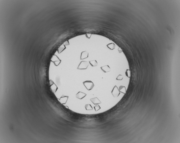 X0000112820260200910021208