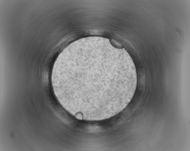 X0000112820262200910021208