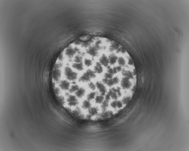 X0000112820263200910021208