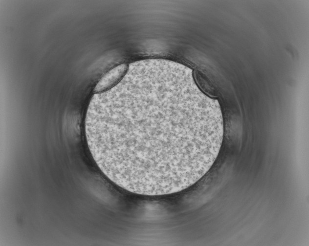 X0000112820264200910021208