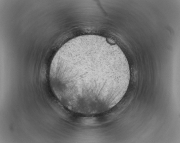 X0000112820266200910021208