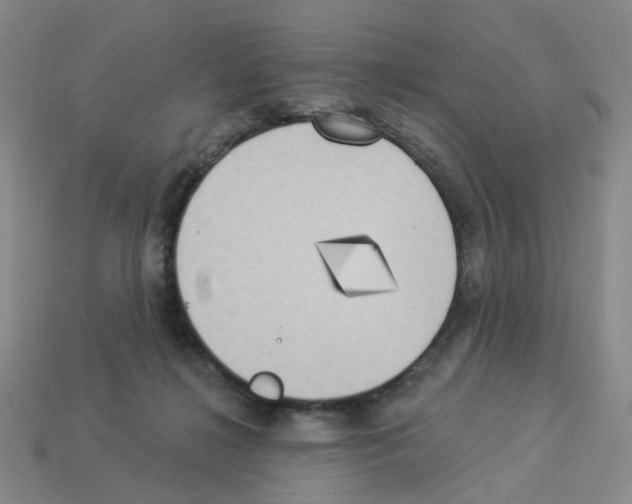 X0000112820268200910021208