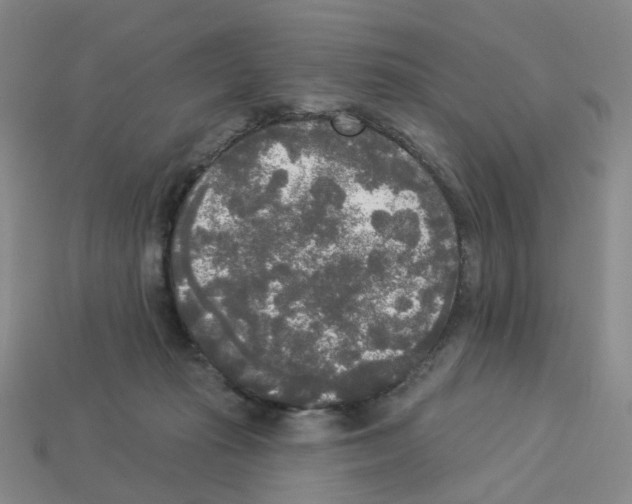 X0000112820269200910021208