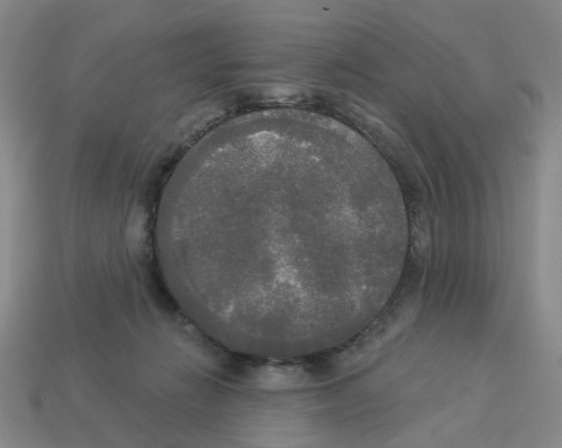 X0000112820270200910021208