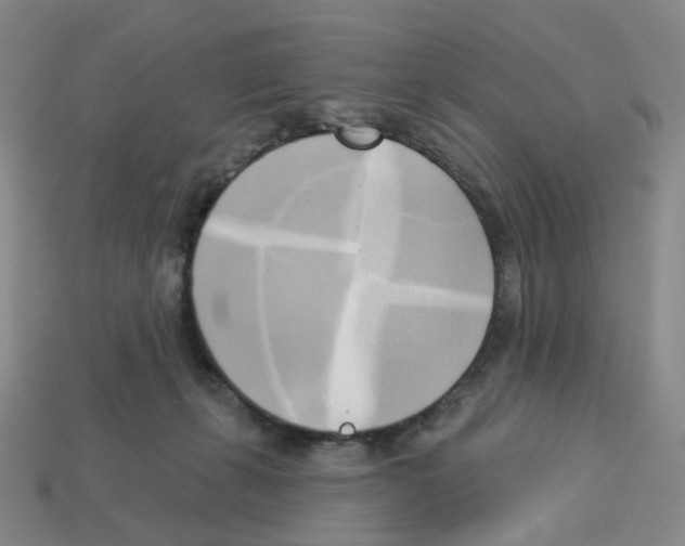 X0000112820271200910021208