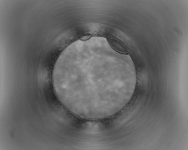 X0000112820272200910021208