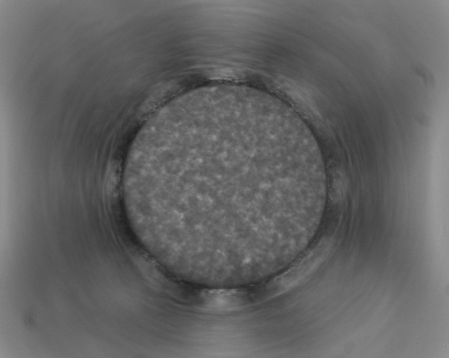 X0000112820273200910021208