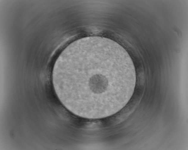 X0000112820274200910021208