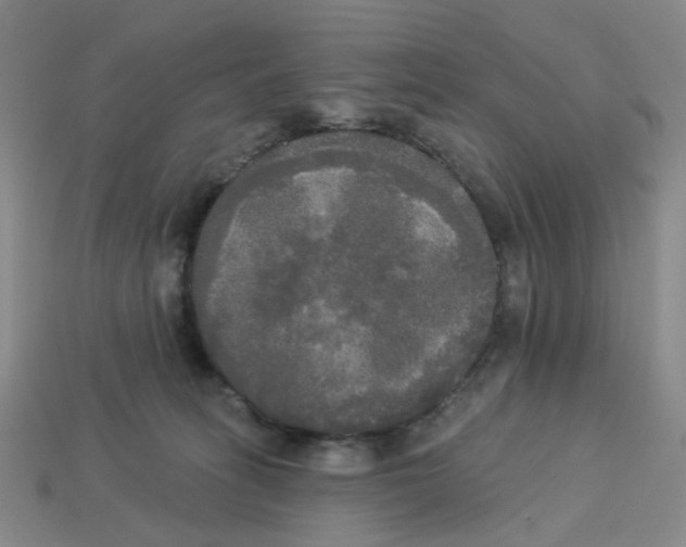 X0000112820275200910021208