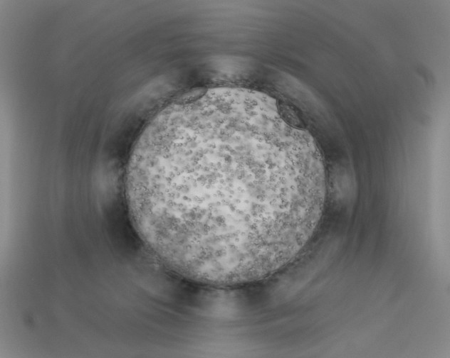 X0000112820276200910021208