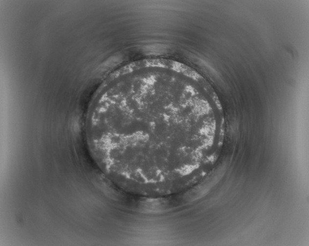 X0000112820277200910021208