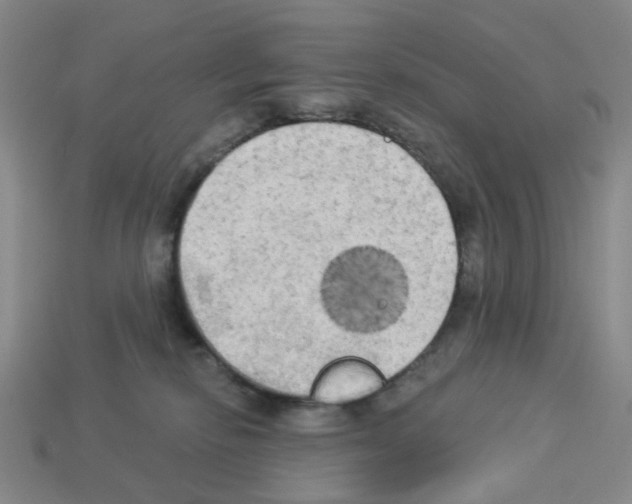 X0000112820278200910021208