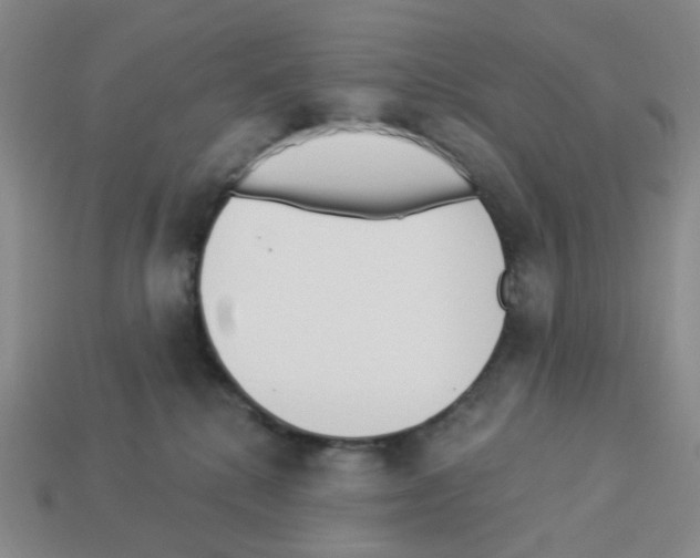 X0000112820280200910021208