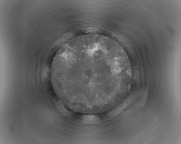 X0000112820281200910021208