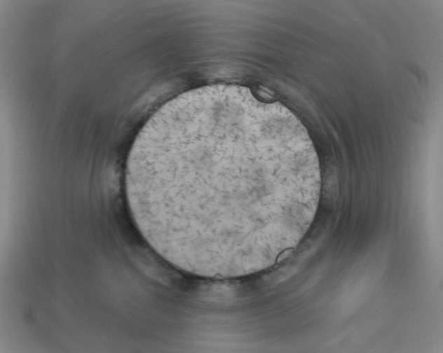 X0000112820282200910021208