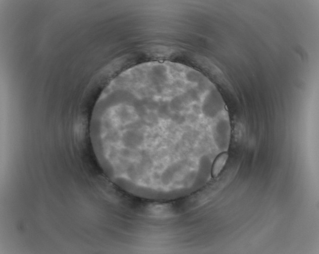 X0000112820283200910021208