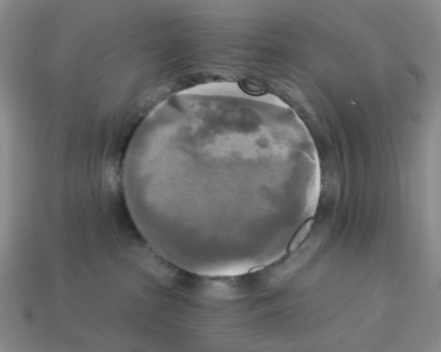 X0000112820285200910021208