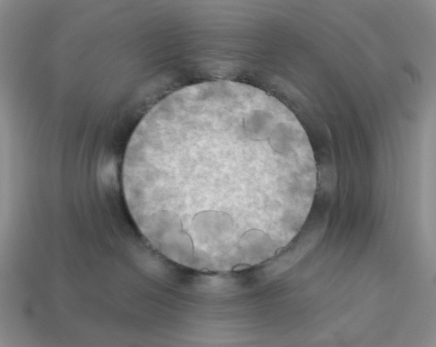 X0000112820286200910021208