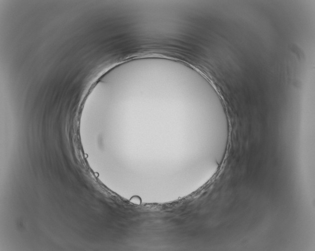 X0000112820289200910021208